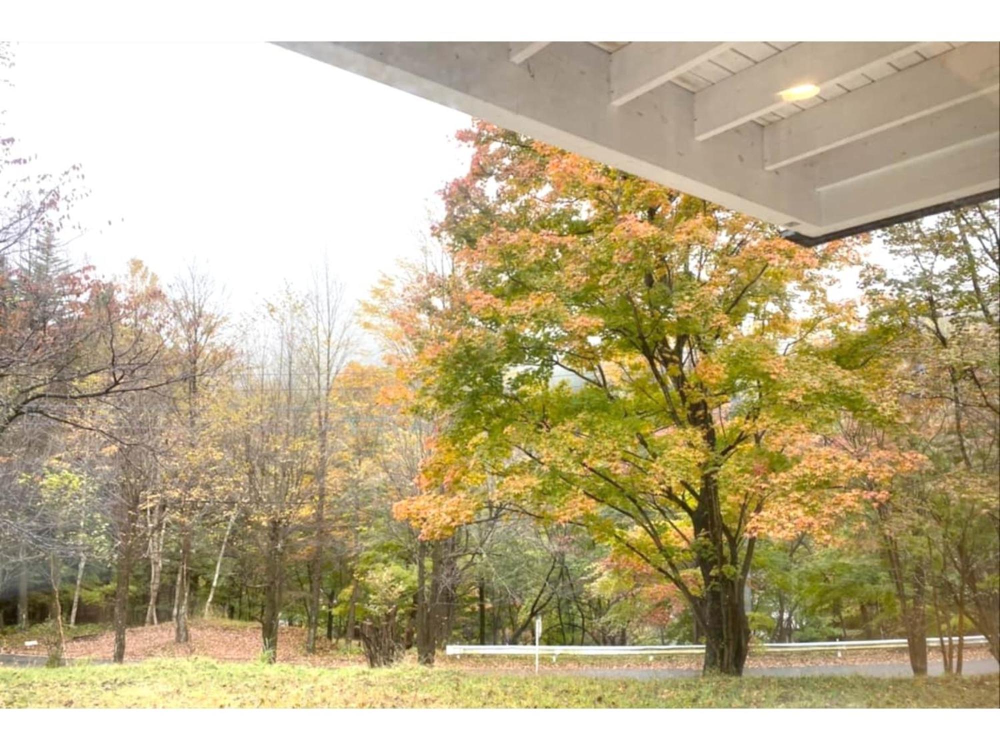 Polar Haus Minamikaruisawa1 - Vacation Stay 88000V Каруидзава Екстериор снимка